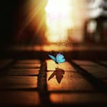 sana__chennu - @sana__chennu - Instagram