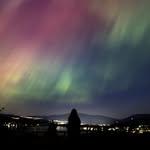 Sana David - @sanadavidphotography - Instagram
