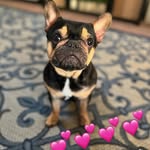 Sana Dee - @sanadee_3 - Instagram