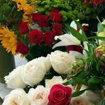 Sana Deeb - Facebook