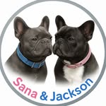 Sana & Jackson | Créateur de contenu | Collab acces dog - @sana_jackson_boubou - Instagram