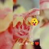 ❤️sᴀɴᴀ ʜᴜɴɴ ʏᴀᴡᴡʀʀʀ❤️ - @sanaalam.7 - TikTok