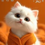 Sana Mostafa - Facebook