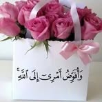 Sana Mostafa - Facebook
