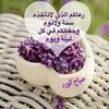 Sana Nasser783 - @sananasser783 - TikTok