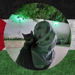 sana nasser - @sana_nasser84 - Instagram