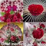 Sana Nasser - @sana.nasser.67 - Instagram