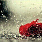 sana nasser - @bushranasser1122 - Instagram