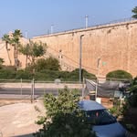 Sana Nasser - @sananasser14 - Instagram