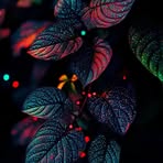 Sana Sayed - Facebook