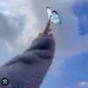 Sanaa Hamdan - @sanaa.hamdan898 - TikTok