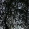 sanah iih - @sanahhasanaah - TikTok