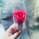 Sanam Sheikh - @sanam.sheikh.54738 - Instagram