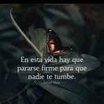 Sánchez Lira - @sanchezlira3 - Instagram