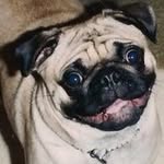 Sandee Moore - @rubysmom44 - Instagram