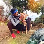 🌱🌾Haryana🌾🌱 - @sandeep_walker_001 - Instagram