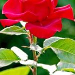 Sandeep Misra - @sandeep.misra.79025 - Instagram