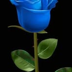 Sandeep Mohan - Facebook