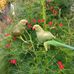 Sandeep Pal - Facebook