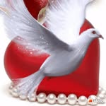 Sandeep  sanger - @sanger7336 - Instagram