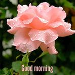 Sandhya Das - Facebook
