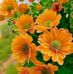 Sandhya Jacob - Facebook