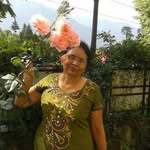 Sandhya Sheth - @sandhya.sheth.71 - Instagram