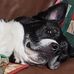Sandi Allen - Facebook