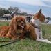 Sandi Atkinson - Facebook