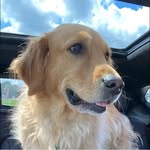Sandi Schiller Atkinson - @sandiatkinson - Instagram