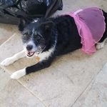 Sandi Boyd - @sandib2565 - Instagram
