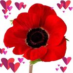 Sandi Boyd - @sandi.boyd752 - Instagram