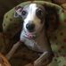 Sandi Campbell - Facebook
