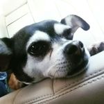 Sandi Cooper - @i_is_sandi - Instagram