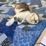 Sandi Cooper - @sandi.cooper.3367 - Instagram