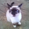 Sandi Daniel - @user6405849386007 - TikTok