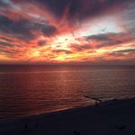 Sandi Ellis - @sandi.ellis.31 - Instagram