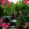 Sandi Ellis Carnagey - @sandi.ellis.carna - TikTok