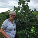 Sandi Foster - @sandifoster4101 - Instagram
