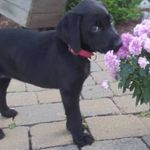 Sandi Foster - @sandi.foster.50 - Instagram
