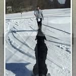 Sandi Harrison - @sandi.harrison - Instagram