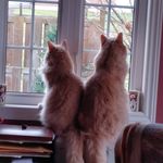 Sandi Hudson - @sandi.hudson.5492 - Instagram