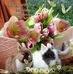 Sandi Lawson - Facebook