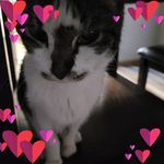Sandi Messersmith-Massey - @messersmithmassey - Instagram