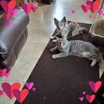 Sandi Mcdaniel - Facebook