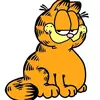 Gafield_2785 - @sandilemcdonald - TikTok