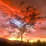 Sandi McGuire Randles - @sandirandles - Instagram