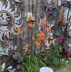 Sandy Mckim - Facebook
