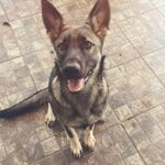 Sandi Mae Morrison - @sandimaemorrison - Instagram