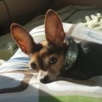 Sandi Morrison - @awsomesandi - Instagram